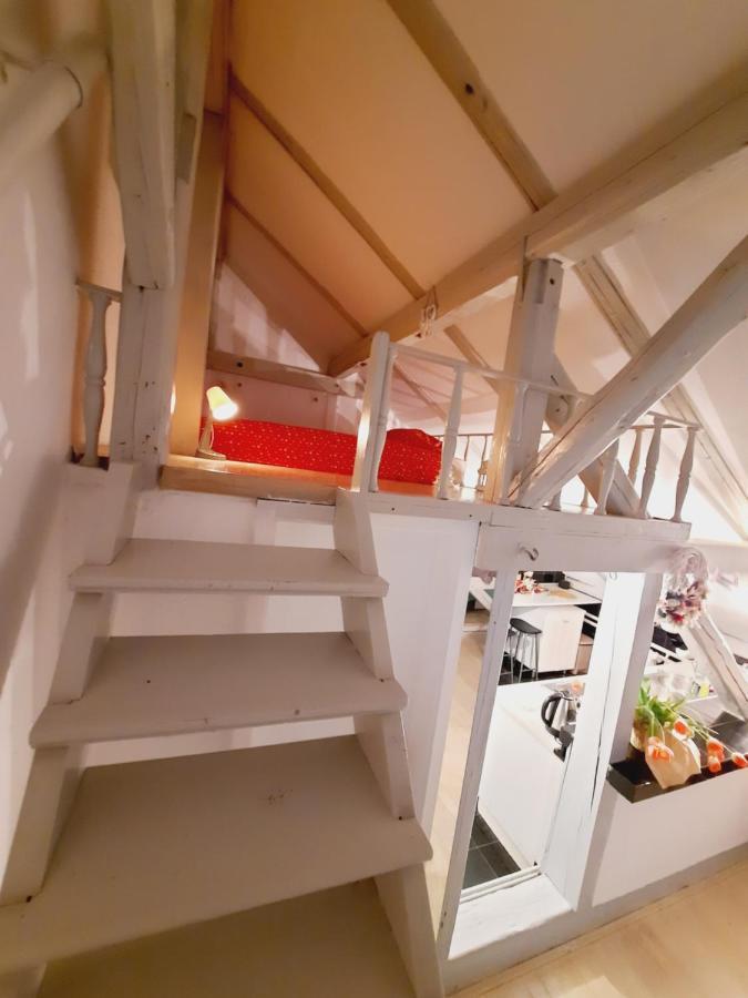 Deki & Kolet Apartment Beograd Bagian luar foto